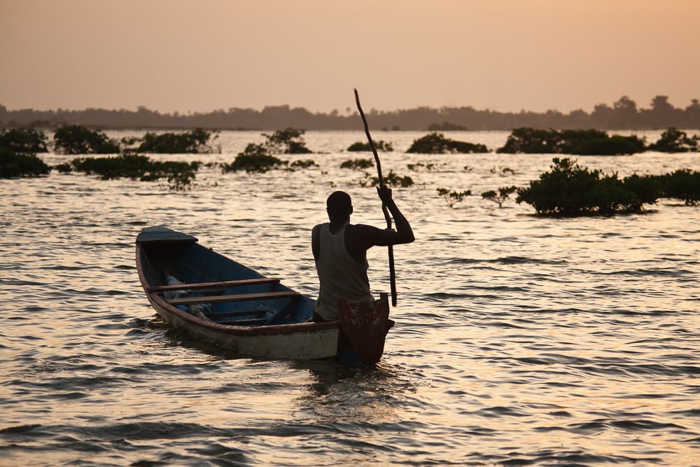 Saloum Delta