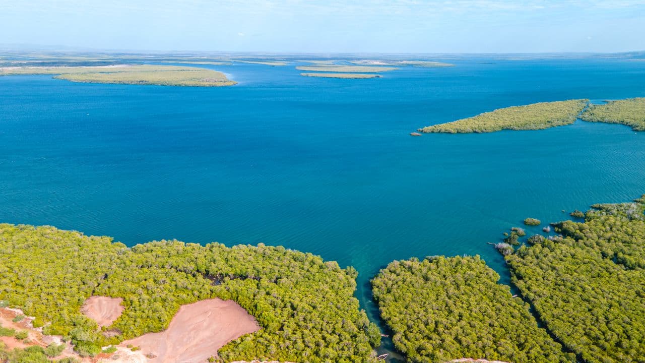 Saloum Delta National Park